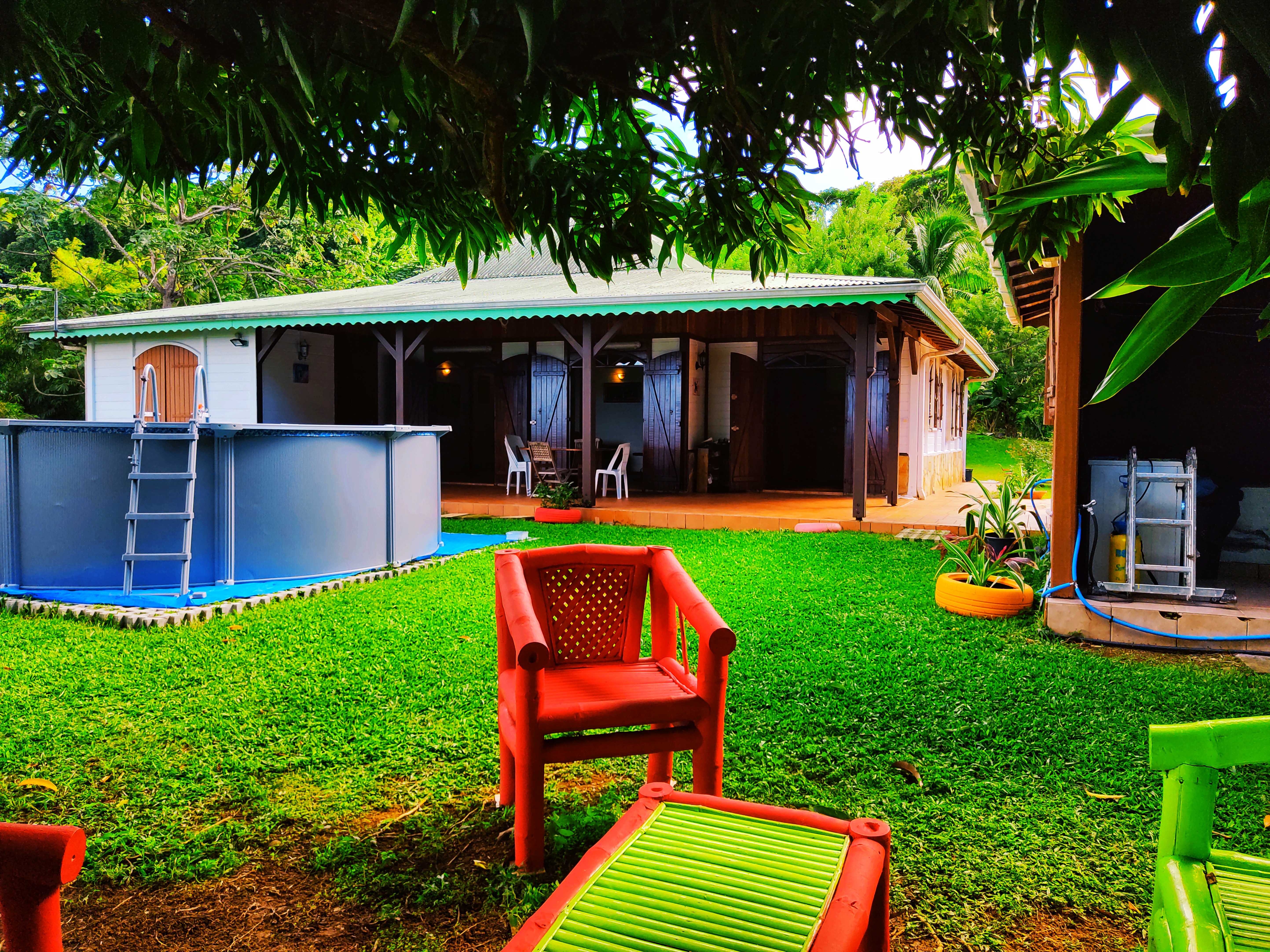 Jardin tropical